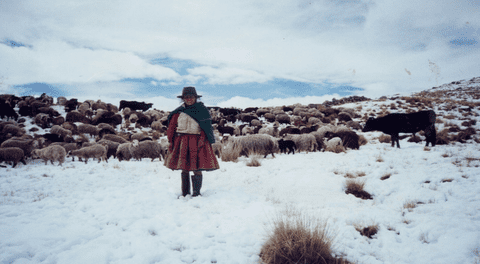Puno: temperaturas llegarán a menos 20 grados durante esta semana