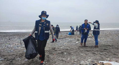 Recogen más de 100 toneladas de basura marina en playa Márquez