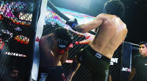 Artes marciales mixtas