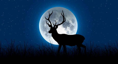 Luna de ciervo se verá este mes de julio, será la más grande y brillante del 2022.