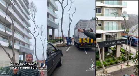 Miraflores: denuncian tala de árboles que obstruían vista al mar de moderno edificio residencial [VIDEO]