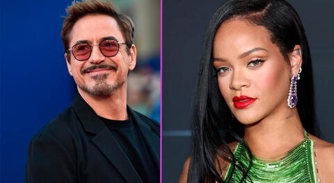 Robert Downey Jr. y Rihanna forman parte del grupo de artistas que no terminaron sus estudios, pero triunfan con su arte.