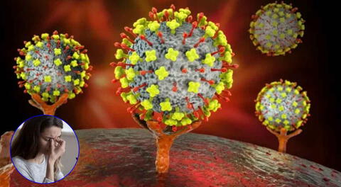 Conoce los 12 síntomas del Henipavirus en la siguiente nota.