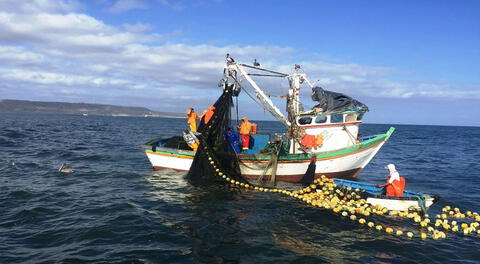 La pesca es la mayor actividad de la costa peruana.