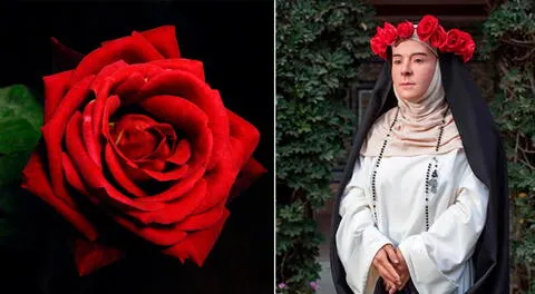 En la nota te contamos cómo cambiar el ícono de WhatsApp por una rosa, en representación de la santa limeña.