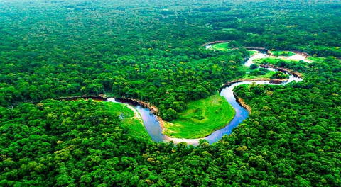 La región de la Selva es la más grande y extensa del Perú, ocupa más del 60% del territorio nacional.