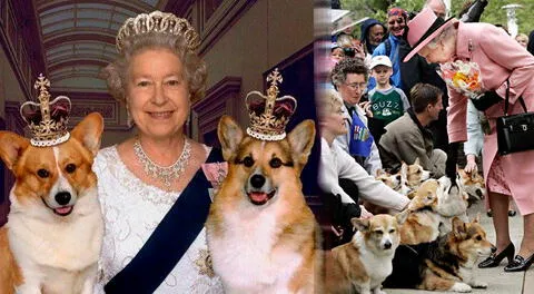 La Reina Isabel II murió: La soberana de Gran Bretaña y su fascinación por los perros corgi