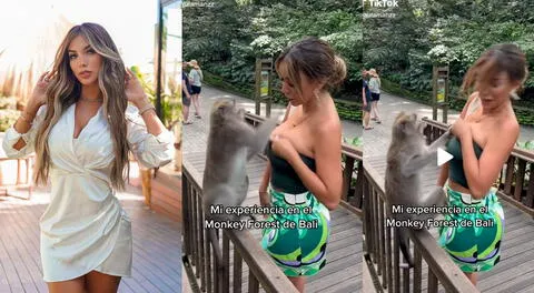 Paula Manzanal publicó el vídeo en TikTok donde se ve a un mono atacarla.