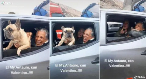 Antauro Humala fue captado sacando medio cuerpo de su perrito mientras estaban en el auto y es viral en TikTok.