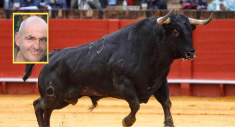 El animal cayó al piso tras ser golpeado con la garrocha, pero cuando vio entrar al carnicero lo atacó a cornadas.