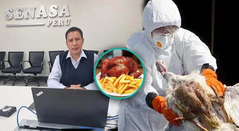 Senasa se pronuncia sobre comer o no pollo, huevos, entre otros.