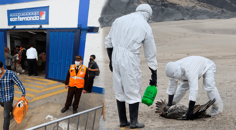 San Fernando se pronuncia tras cierre de avícolas por gripe aviar.