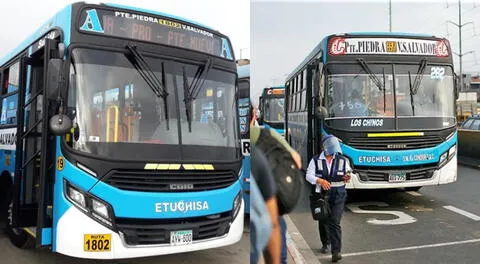 Los buses de Etuchisa se identifican por su característico color celeste y por su gran tamaño.