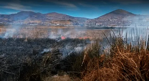 “¡Las islas de Los Uros está en peligro!”: Reportan Incendio de Totorales a orillas del Lago Titicaca, en Puno