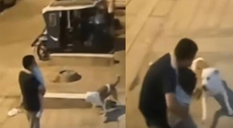 Las cámaras de seguridad registraron el momento exacto en que el can, que estaba sin correa ni bozal, se avalancha sobre el sujeto e intenta morder las piernas de la menor.