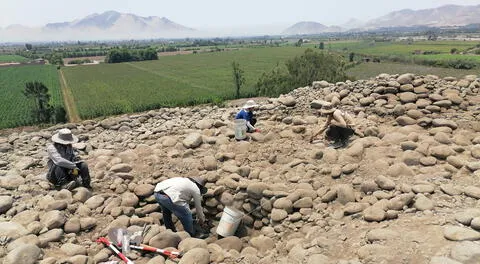 Valle de Chancay al lado de la historia: El arqueólogo Pieter van Dalen Luna fue el encargado del hallazgo