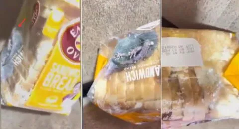 Un hombre en la India compró pan por delivery, encontró una rata dentro de la bolsa y la publicó en Twitter.
