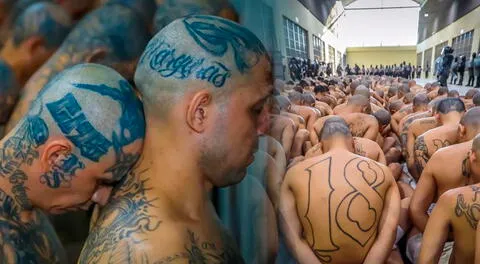 El Salvador: escalofriantes imágenes por el traslado de 2000 pandilleros a la megacárcel
