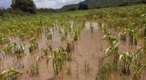 El Midagri brindará un soporte económico a los agricultores que se han visto afectados por el ciclón Yaku.