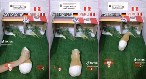 "Kurikuri El Cuy" lanza predicción para el partido amistoso internacional de Perú vs. Alemania.