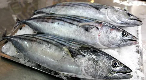 Conoce cómo reconocer un pescado fresco en Semana Santa 2023.