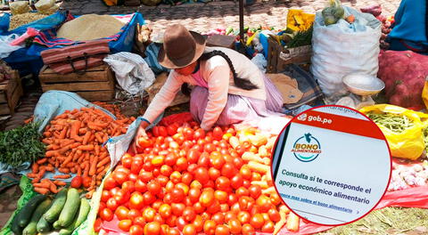 Conoce detalles del Bono Alimentario que otorga el Estado este 2023.