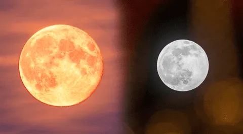 Conoce cómo se ven afectados los signos zodiacales con el eclipse lunar.