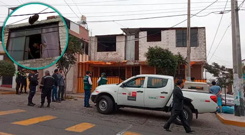 Oso perezoso se colgó en cables de alta tensión en Arequipa.