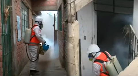 Chaclacayo: tras aumento de casos de dengue se ha empezado a fumigar las casas para evitar contagios