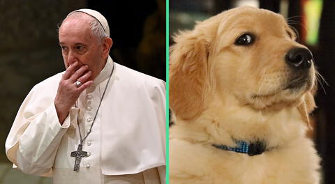 El pontifice criticó a las personas que tratan a las mascotas como hijos.