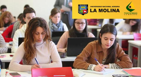 Conoce los cursos que ofrece el Centro de Idiomas de la UNALM.