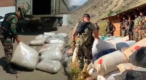 Se encontró un total de 1 tonelada 700 kilos de marihuana.