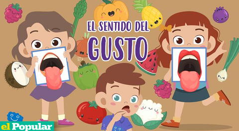 Explora el arte de saborear: Descubre la función y partes del sentido del gusto.