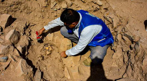 Encuentran momia de 3 mil años de antigüedad