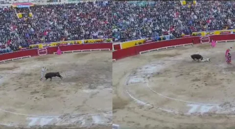 Cajamarca: Andrés Roca Rey sufrió cornada en la feria Internacional San Juan Bautista