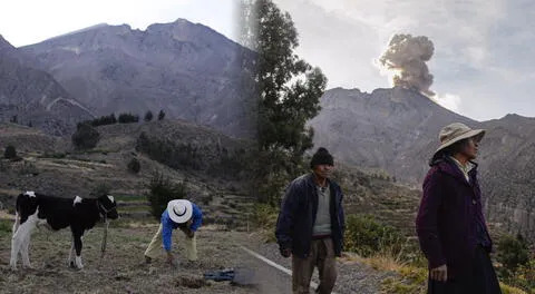 Ganaderos temen por sus animales tras erupciones de volcán Ubinas.