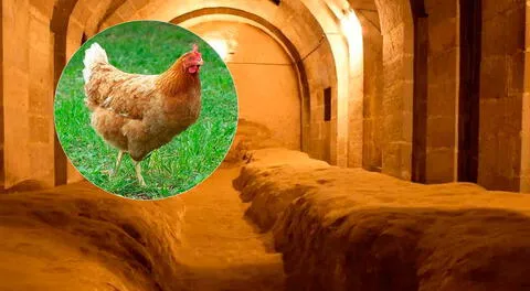 Una persecución de gallinas termina con el descubrimiento de una ciudad subterránea milenaria