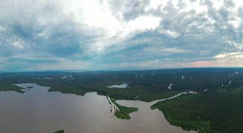 Reservas de carbono de la Amazonía tiene potencial para mitigar el cambio climático