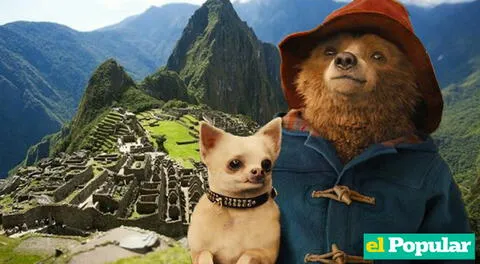 Paddington 3 comenzó sus grabaciones en la llaqta de Machu Picchu.