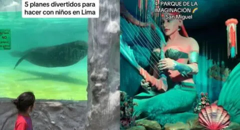 La señora peruana mostró 5 actividades para hacer con niños por las vacaciones de Fiestas Patrias.