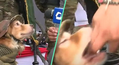 La reacción de 'Chato' el perrito policía fue viral en las redes sociales.