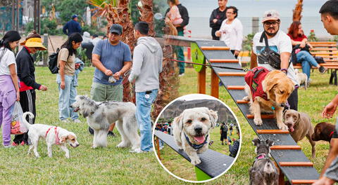 Magdalena del Mar inauguró el primer parque canino del Perú. Conoce qué ofrece.