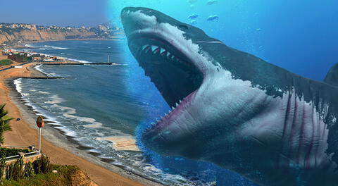 Megalodón, enorme tiburón que apareció después de la extinción de los dinosaurios.