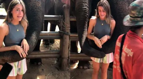 Usuaria española es viral tras registrar un curioso hecho al tomarse fotos con un elefante en Tailandia.