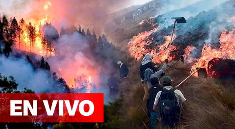 Un incendio forestal de grandes proporciones viene afectando al distrito de Ihuayllo, en Apurímac.