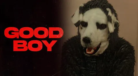 Conoce dónde ver la película de terror sobre un hombre vestido de perro, "Good boy".