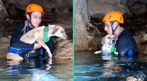 La perrita permaneció aislada por cuatro horas en una cueva de Yucatán, México.