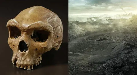 Este cráneo pertenece a una especie que surgió como el eslabón clave para evitar la extinción.