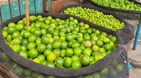 Precio del limón se dispara en el interior del Perú.