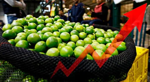 El precio del limón sigue en aumento en Perú y ya alcanzó los S/ 600 el saco.